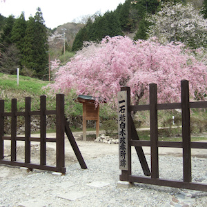 Site of the Ichikokutochi-Shirakiaratame Checkpoint