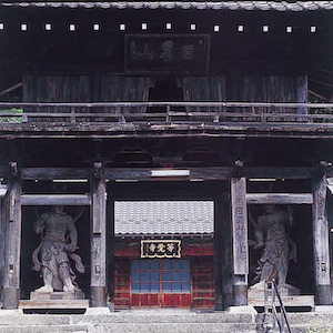 The Enku Buddha Statues of Togakuji Temple